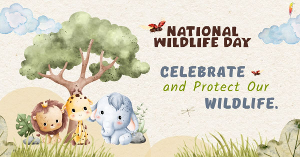 National Wildlife Day: Discovering the Wonder of the Wild